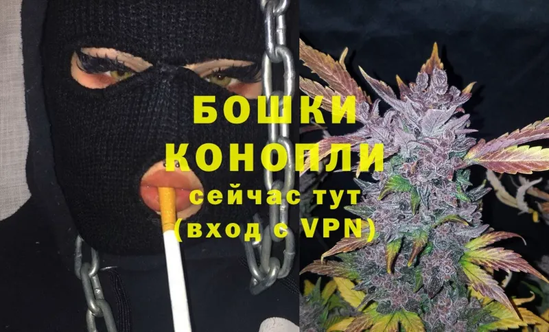 Бошки марихуана SATIVA & INDICA  дарнет шоп  Соликамск 